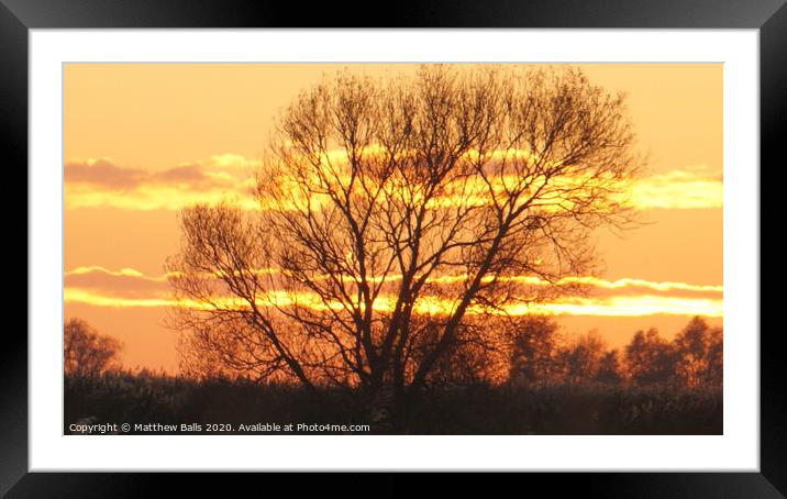 Clouds in a tree Framed Mounted Print by Matthew Balls