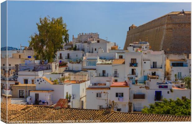 view of old Ibiza with typical white houses and re Canvas Print by susanna mattioda