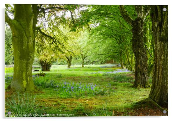 Woodland Walk  Acrylic by Jim Key