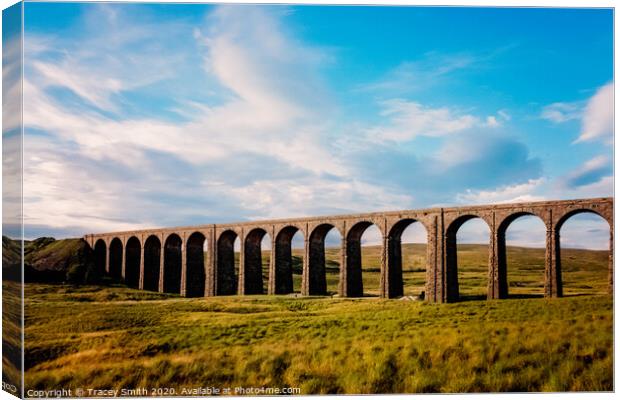Settle–Carlisle line Canvas Print by Tracey Smith