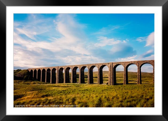 Settle–Carlisle line Framed Mounted Print by Tracey Smith