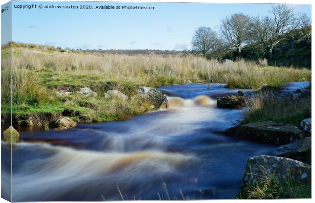 COUNTRYSIDE WATER Canvas Print by andrew saxton