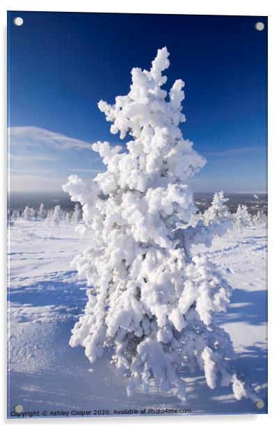 Snow tree. Acrylic by Ashley Cooper