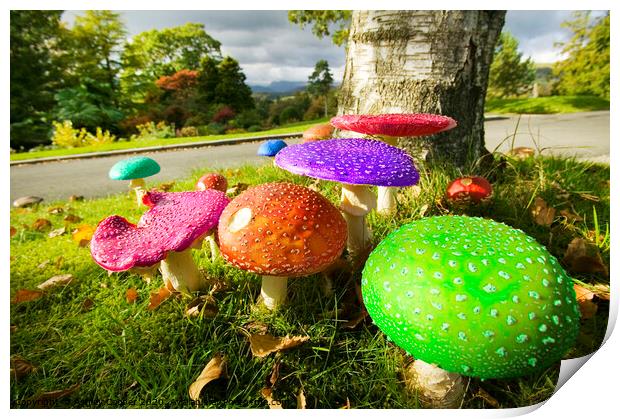 Funky funghi Print by Ashley Cooper