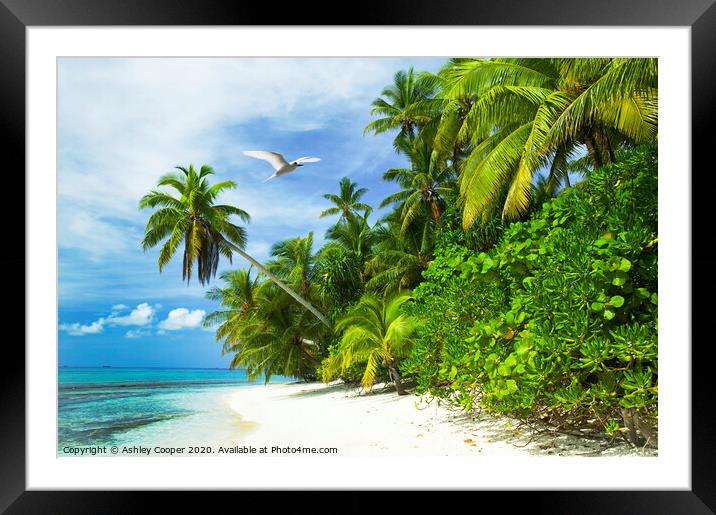 Tuvalu Tropics Framed Mounted Print by Ashley Cooper