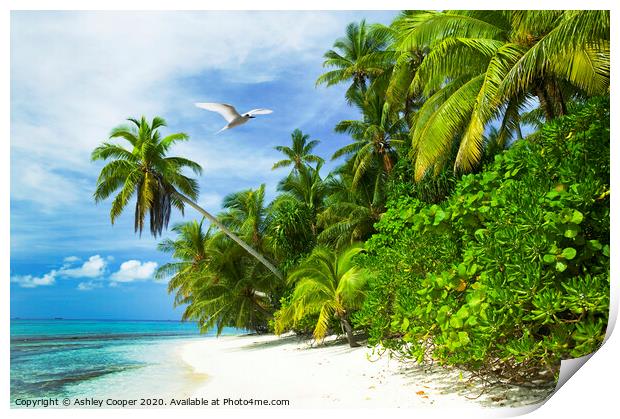 Tuvalu Tropics Print by Ashley Cooper