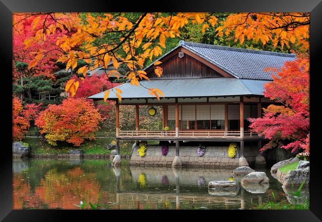 Tea House in Japanese Garden in Autumn Framed Print by Arterra 