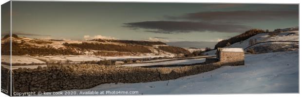 Deep winter-Pano Canvas Print by kevin cook