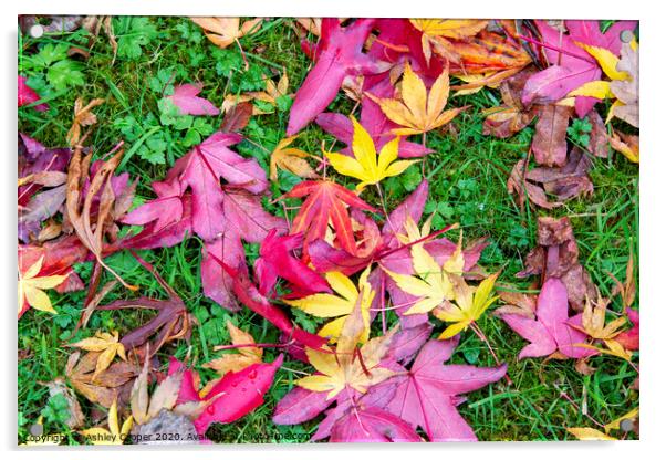 Leaf patterns, Acrylic by Ashley Cooper
