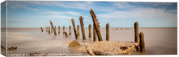 Groynes-Pano Canvas Print by kevin cook