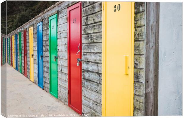 The Painted Doors at the Seaside Canvas Print by Tracey Smith