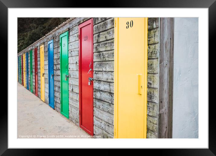 The Painted Doors at the Seaside Framed Mounted Print by Tracey Smith