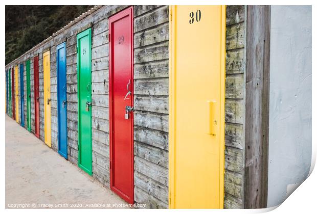The Painted Doors at the Seaside Print by Tracey Smith