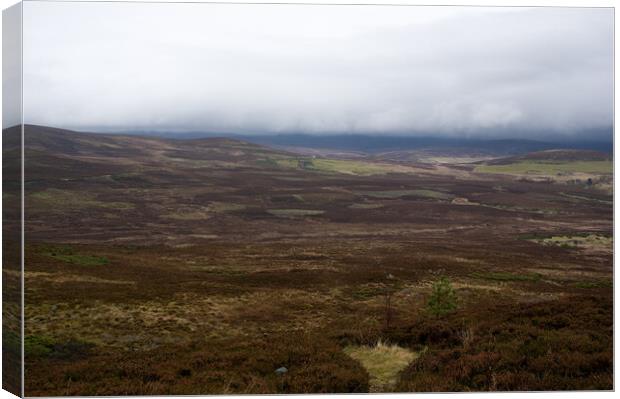 November Fog Highlands of Scotland Canvas Print by Jacqi Elmslie