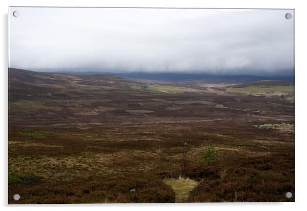 November Fog Highlands of Scotland Acrylic by Jacqi Elmslie