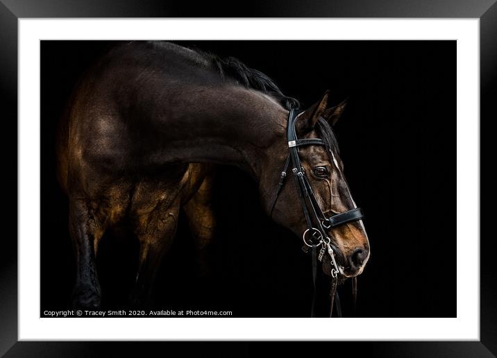 The Dressage Horse Framed Mounted Print by Tracey Smith