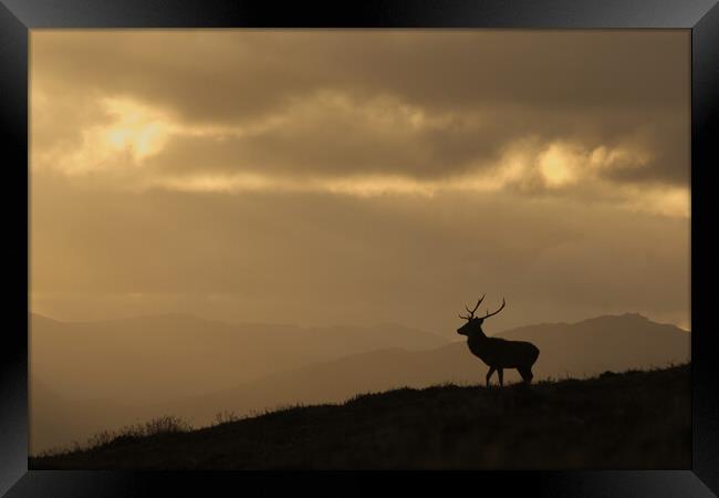 Strathglass Silhouette Framed Print by Macrae Images