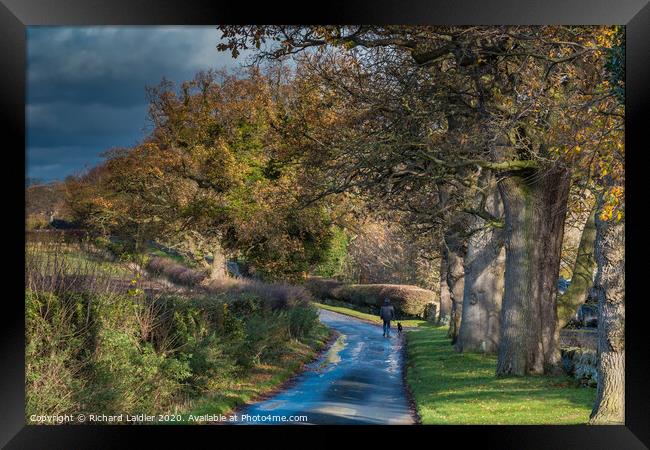 One man and his dog Framed Print by Richard Laidler