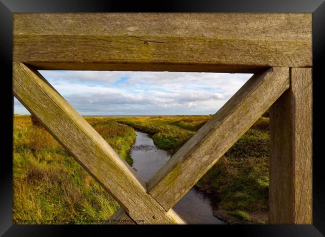 Crimdon Dene stream through the  wooden bridge Framed Print by Janet Kelly