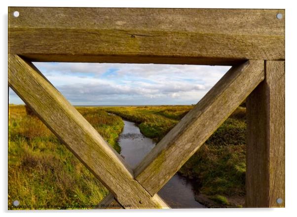 Crimdon Dene stream through the  wooden bridge Acrylic by Janet Kelly
