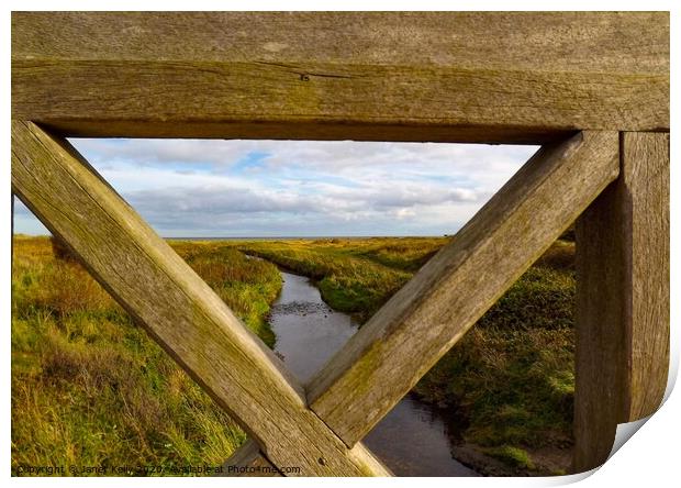 Crimdon Dene stream through the  wooden bridge Print by Janet Kelly