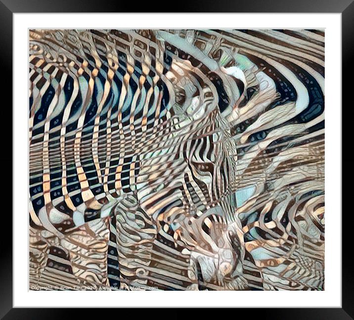 Zebra abstract Framed Mounted Print by Brian Tarr