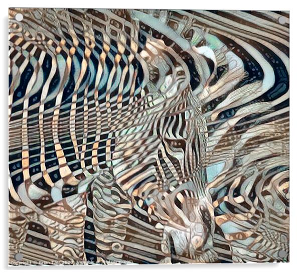 Zebra abstract Acrylic by Brian Tarr