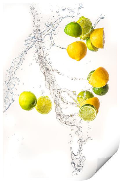 Fresh limes and lemons with water splash in midair, isolated on white background Print by Przemek Iciak