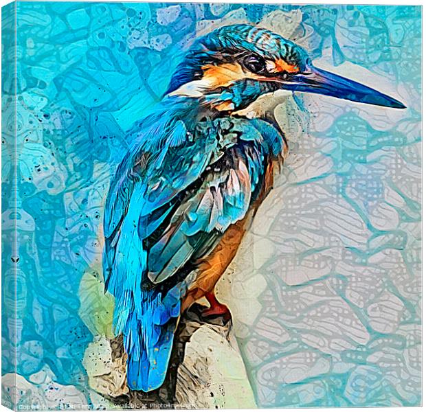 Kingfisher art Canvas Print by Brian Tarr