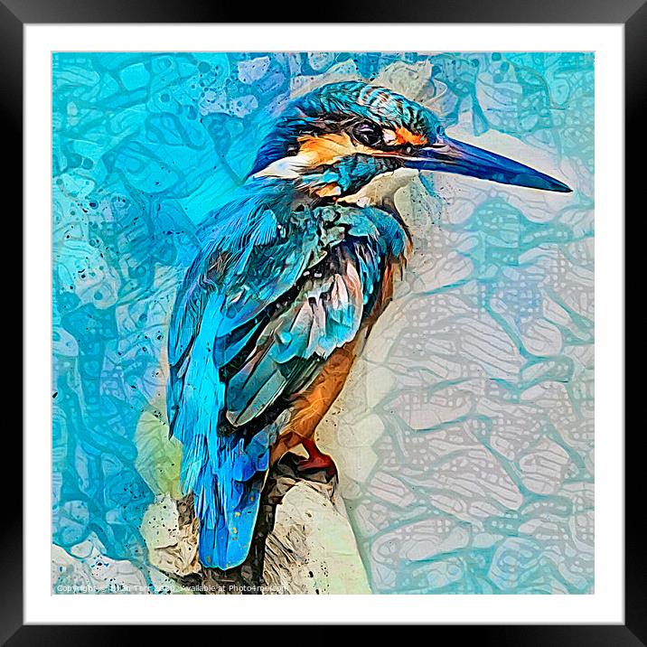 Kingfisher art Framed Mounted Print by Brian Tarr