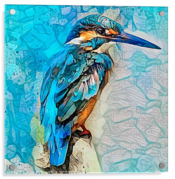 Kingfisher art Acrylic by Brian Tarr