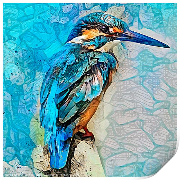 Kingfisher art Print by Brian Tarr