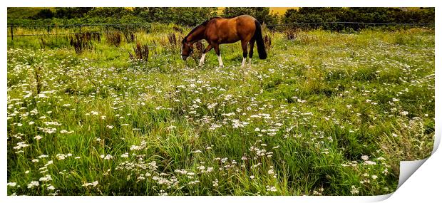 Beautiful golden brown Horse in a field Print by Janet Kelly