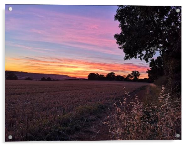 Sunset Mollington Oxfordshire Acrylic by Michelle Bowler