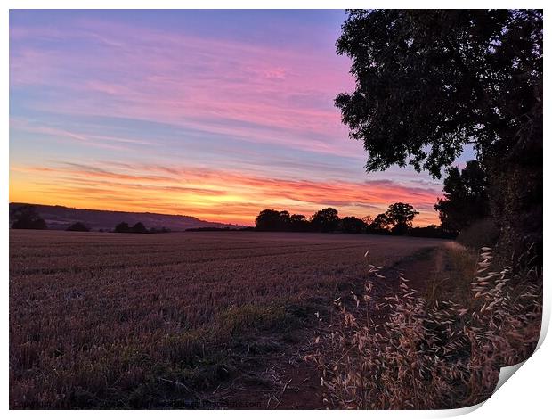 Sunset Mollington Oxfordshire Print by Michelle Bowler