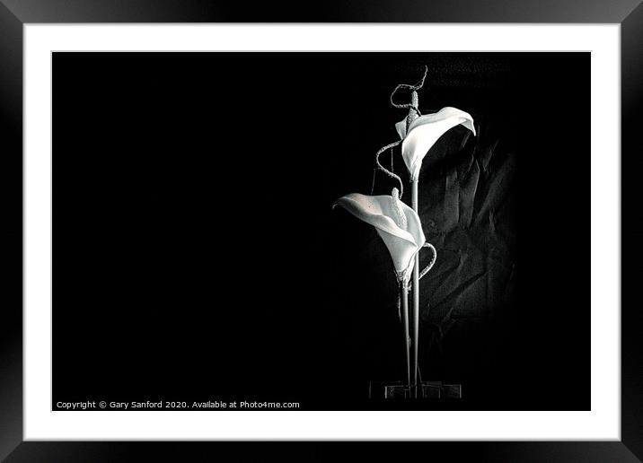 A Study in Black and White Framed Mounted Print by Gary Sanford