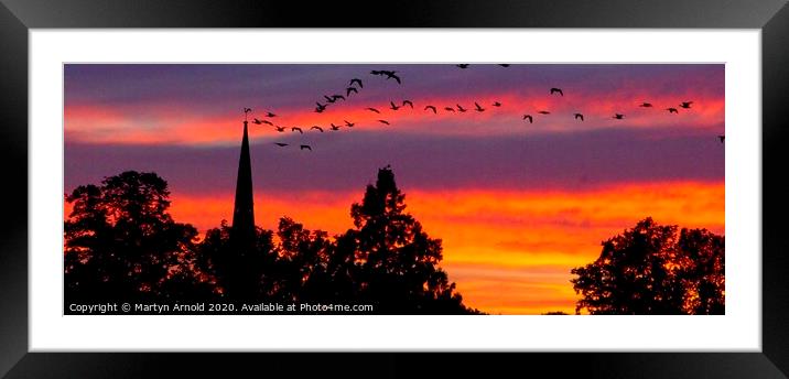 Heading Home - flock of geese at sunset Framed Mounted Print by Martyn Arnold