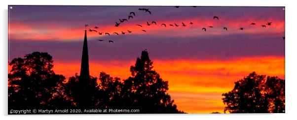 Heading Home - flock of geese at sunset Acrylic by Martyn Arnold