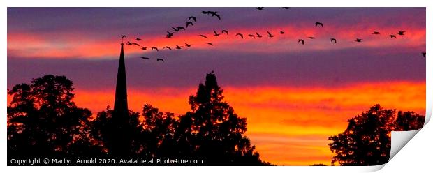 Heading Home - flock of geese at sunset Print by Martyn Arnold