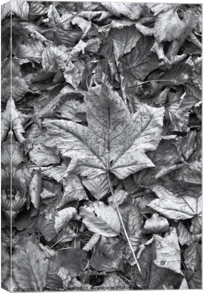 Leaf collage Canvas Print by Simon Johnson