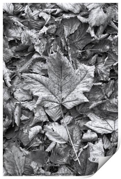 Leaf collage Print by Simon Johnson