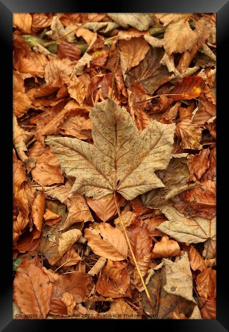 Leaf collage with maple leaf Framed Print by Simon Johnson
