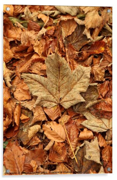 Leaf collage with maple leaf Acrylic by Simon Johnson