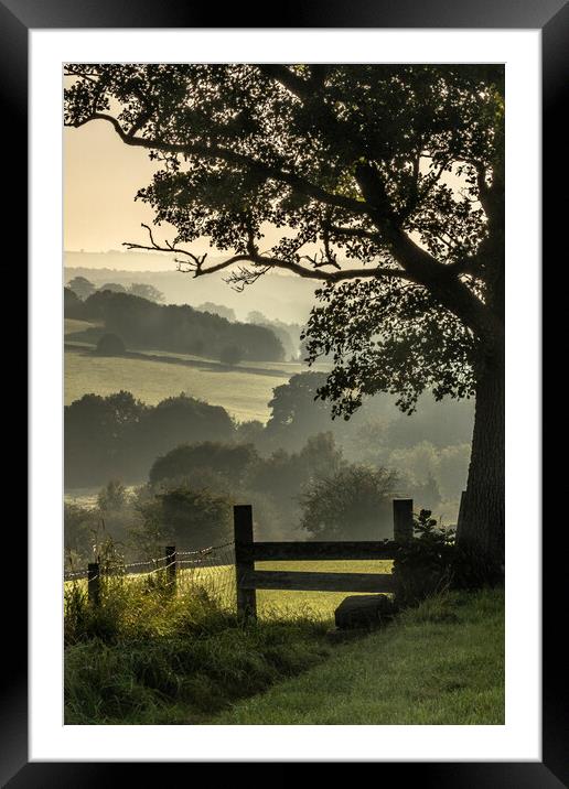 Early morning mist in Yorkshire countryside.  Framed Mounted Print by Ros Crosland