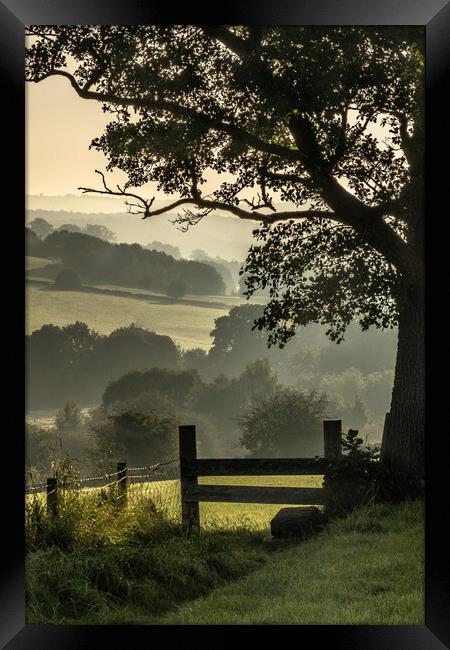 Early morning mist in Yorkshire countryside.  Framed Print by Ros Crosland