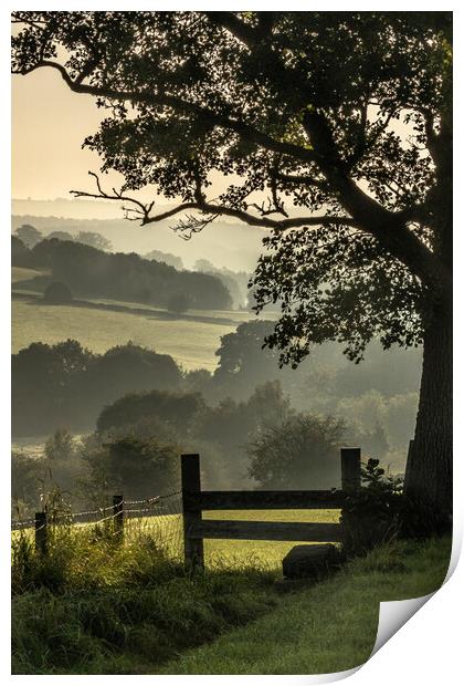 Early morning mist in Yorkshire countryside.  Print by Ros Crosland