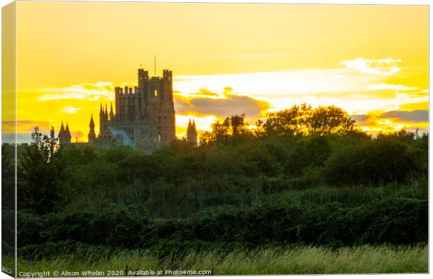 Ely Cathedral at Sunset Canvas Print by Alison Whelan