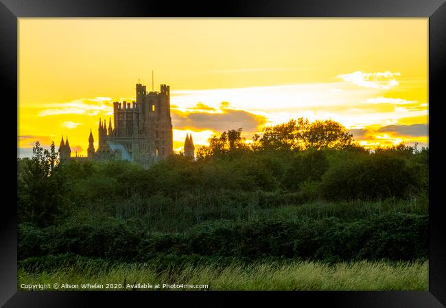 Ely Cathedral at Sunset Framed Print by Alison Whelan