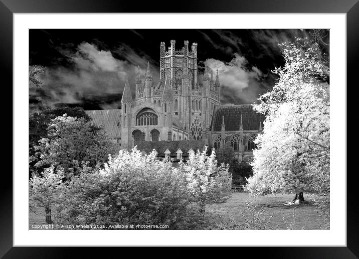 Ely Cathedral Octagon Tower in Monochrome Framed Mounted Print by Alison Whelan