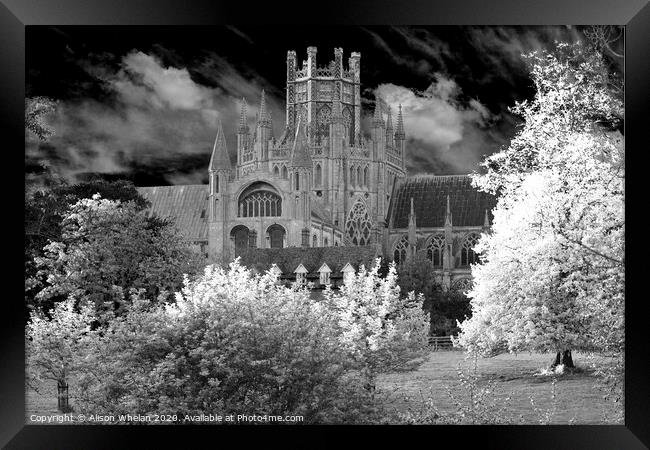 Ely Cathedral Octagon Tower in Monochrome Framed Print by Alison Whelan